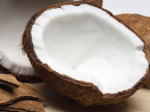 Coconut